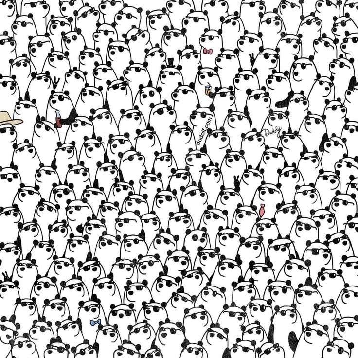 You could have a high IQ if you can find the three pandas not wearing sunglasses in 30 seconds