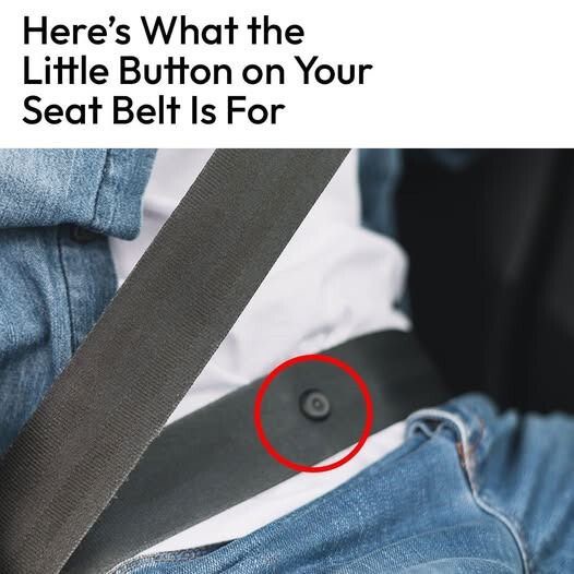 Are You Aware of the Function of That Small Button on Your Seat Belt?