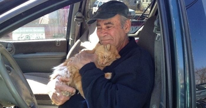 A 76-Year-Old Man Collects Scrap to Feed Stray Cats Every Single Day for 22 Years.