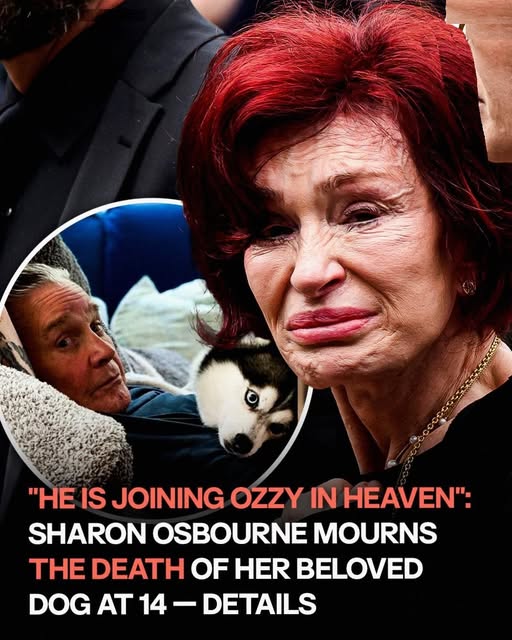 Sharon Osbourne Saddened by the Death of Her Faithful Dog at 14, Only Two Months After Losing Ozzy